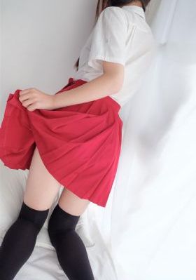 蜡笔小新第五季